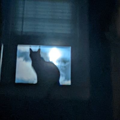 write_robin's profile picture. Grower of things, myself included. Author (horror, SFF). Artist. Science ♥️ (she/they)🏳️‍🌈