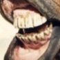 Stephen E. Gotwals (@stephengotwals) 's Twitter Profile Photo Stephen E. Gotwals (@stephengotwals) 's Twitter Profile Photo