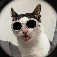 La Con Ig (@feliciacoro) 's Twitter Profile Photo La Con Ig (@feliciacoro) 's Twitter Profile Photo