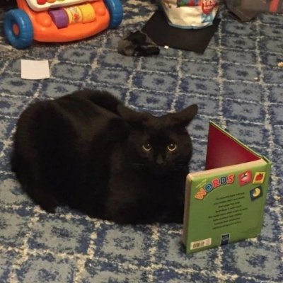 boomturing1's profile picture. 