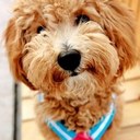 TRACY JONES - @CRAFTYMUMMY - Twitter