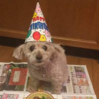 りんりんらんらん。 (@0101hello) 's Twitter Profile