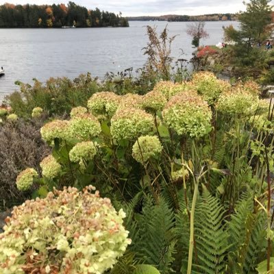 ChicDelights8's profile picture. 