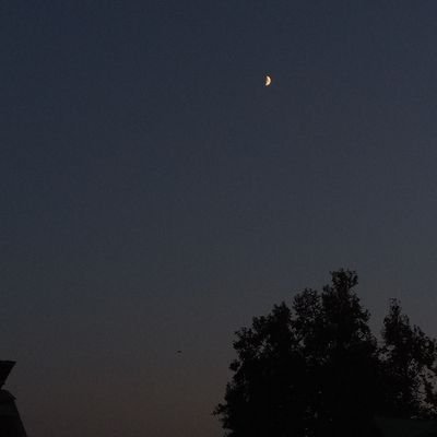 SyedMuskan06's profile picture. Journalism||