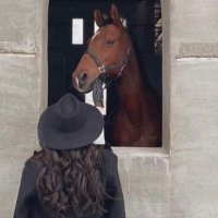 SARAH (@sa38u) 's Twitter Profile Photo