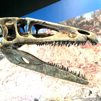 MattWest_S4's profile picture. Writer, guitar player, DM, LGBTQ ally. I tweet about Geology, Palaeontology, Astronomy, Astrophysics, maps, music, guitars, model railroad, D&D, & snakes.