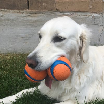 HPSauced44's profile picture. NFL/Bills Junkie #billsmafia & Anything Golf. DM’s will be ignored.