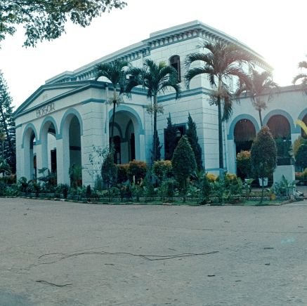 mshpro1's profile picture. 