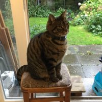 Jo & Sky Woodhouse (@jowoodhouse_jo) 's Twitter Profile Photo Jo & Sky Woodhouse (@jowoodhouse_jo) 's Twitter Profile Photo