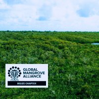 Belize Mangrove Alliance (@belizemangrove) 's Twitter Profile Photo Belize Mangrove Alliance (@belizemangrove) 's Twitter Profile Photo