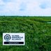 Belize Mangrove Alliance (@BelizeMangrove) Twitter profile photo