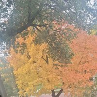 Cullen Bruce (@cullenbruce) 's Twitter Profile