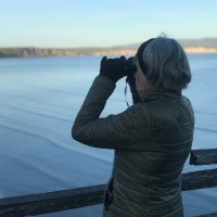 Ronnie Cohen (@ronnielcohen) 's Twitter Profile
