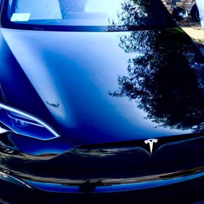 Teslalingo's profile picture. Retire on Tesla!