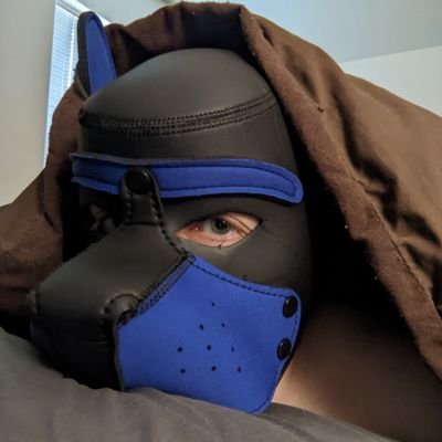 Just a pup that loves rainy days 🌧️ call me a good boy and watch me melt 🤤 PNW 🌲 35, married, pan, he/they 🏳️‍🌈 ADULTS ONLY, MINORS DNI 🔞