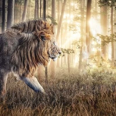 darkmodel231's profile picture. 