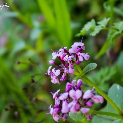 ayoub13370124's profile picture. maintenance idustrielle