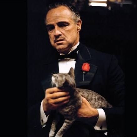 Sell_With_Words's profile picture. Sales psychologist
Copywriter
Author