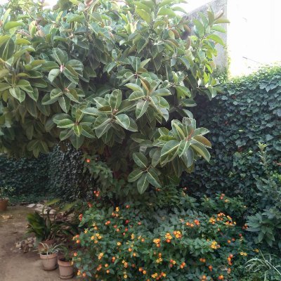 mteroro's profile picture. 