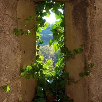 al7mdo_lellah's profile picture. 
 12/8/2020
