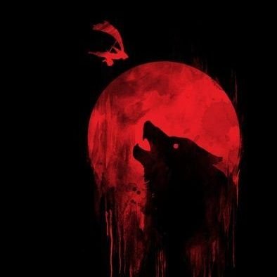 Alberto32040101's profile picture. 🦝