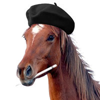 Jeff_the_horse (@mefjeff) 's Twitter Profile Photo Jeff_the_horse (@mefjeff) 's Twitter Profile Photo