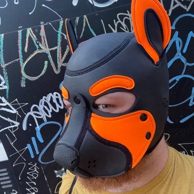 BattlinBoxerPup's profile picture. Hello I’m Boxer. I’m new to the pup community. My favorite things are belly rubs, rough play, and having a good time.