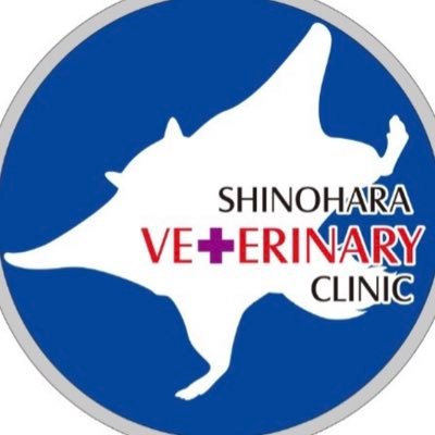 宮崎市の篠原動物病院です。 救護を必要とする野生鳥獣の受け入れも行っています。 Instagramをご覧ください ！ https://t.co/z29vI1eLRZ  /   https://t.co/E6b2eBL4I3