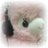 noin_rosa