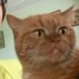 Andriy (@andriy95223843) Twitter profile photo Andriy (@andriy95223843) Twitter profile photo