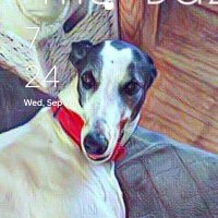 Katie J.K. (@kjk0406) 's Twitter Profile Photo Katie J.K. (@kjk0406) 's Twitter Profile Photo