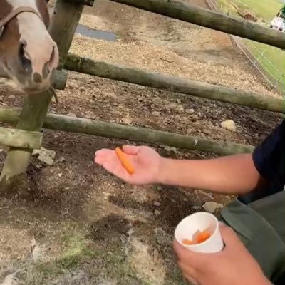 KUSHI94949469's profile picture. アラフィフワー母。ADHD（長男） と知的障害自閉症（次男）の成人した息子がいます。 2人とも仕事をしています。母はB'zやお笑い、歌舞伎やお芝居、千葉ジェッツ、佐賀、三河の🏀観戦に行ったりするのが幸せです。子の障害も趣味も呟きます。