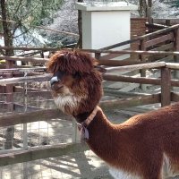 ギンガム (@tz0ar4n2frgx7ae) 's Twitter Profile Photo ギンガム (@tz0ar4n2frgx7ae) 's Twitter Profile Photo