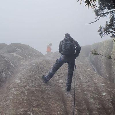 swjj83852534's profile picture. 