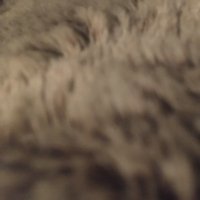 Inguinal (@steven34838136) 's Twitter Profile