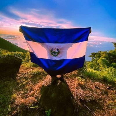 mecanico de corazón y 100% bukeliano 🇸🇻🇸🇻🇸🇻