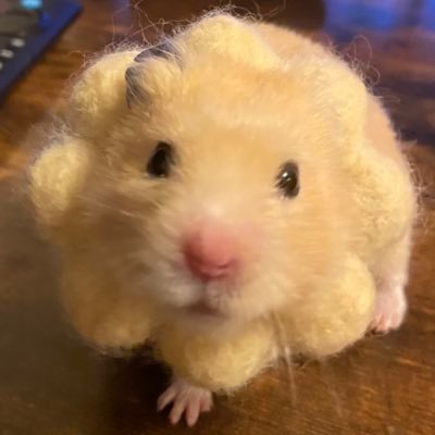 R_nisssan's profile picture. ディーラー通勤快速仕様。