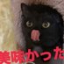 こっちゃんの大冒険@猫YouTuber (@cocipapa) Twitter profile photo こっちゃんの大冒険@猫YouTuber (@cocipapa) Twitter profile photo