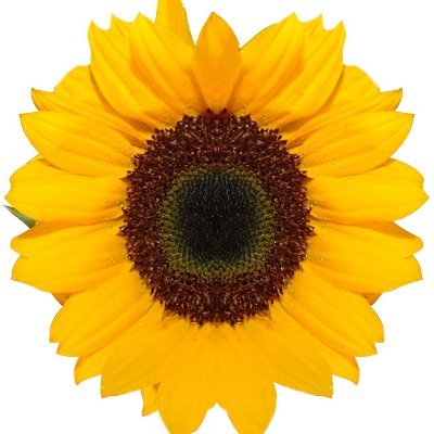 MLKBK5's profile picture. 