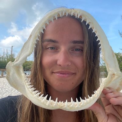 MS/PhD student in the @ReefEcologyLab at KAUST. Shark ecology 🤙🏼 former Station Manager @biminisharklab, former Education Officer @seawatchersUK