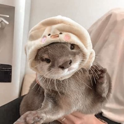 sort of main acc | twice, svt, enha | let’s be friends!