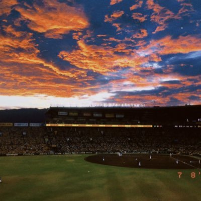 tokeizikakes's profile picture. 阪神タイガース/鉄腕強打/#hanshin