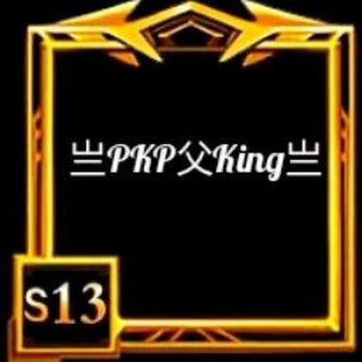 PkpKing1593's profile picture. 