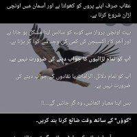 Noman Tariq (@nomanta51698797) 's Twitter Profile