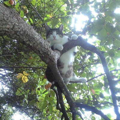 0W8x2's profile picture. 