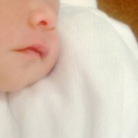 プー&TОRU Тagaмi (@poohwang) Twitter profile photo