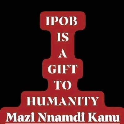 n_chiddy's profile picture. 💞💞💞