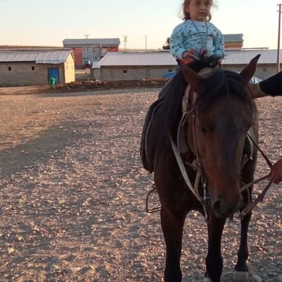 SirinOlasm's profile picture. 