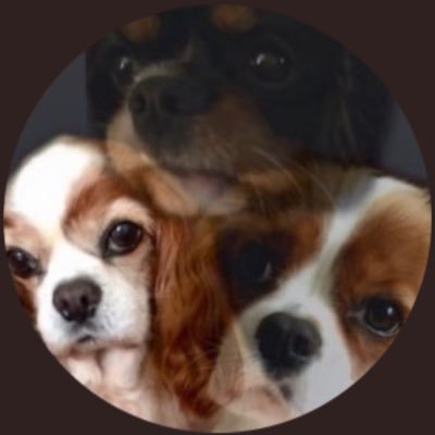 RosieKcavalier Profile Picture