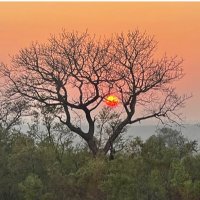 LoveSwaziland (@loveswaziland) 's Twitter Profile